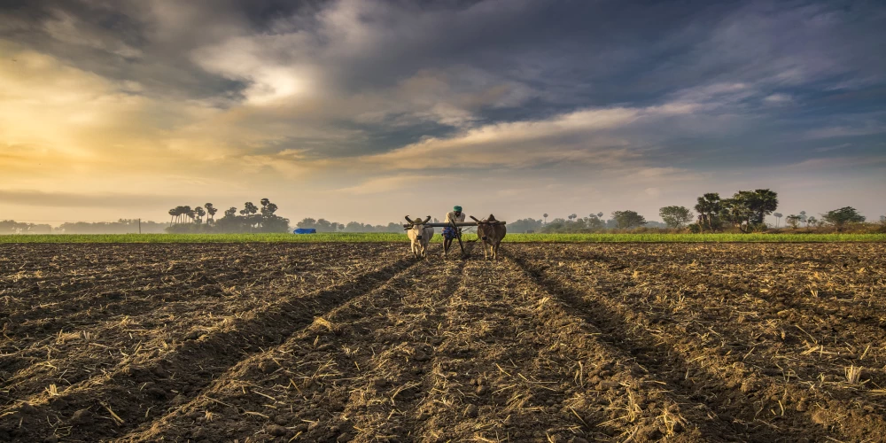 India-Australia RISE Accelerator invites start-ups and MSMEs for Climate Smart Agritech India-Australia RISE Accelerator invites start-ups and MSMEs for Climate Smart Agritech